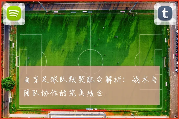 南京足球队默契配合解析：战术与团队协作的完美结合