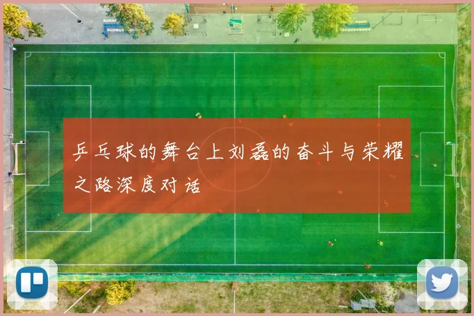 乒乓球的舞台上刘磊的奋斗与荣耀之路深度对话