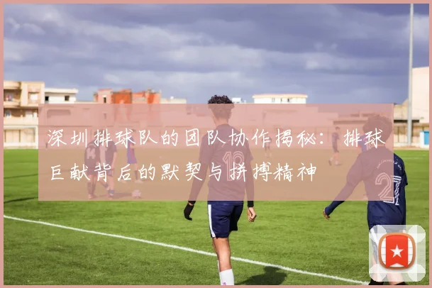 深圳排球队的团队协作揭秘：排球巨献背后的默契与拼搏精神