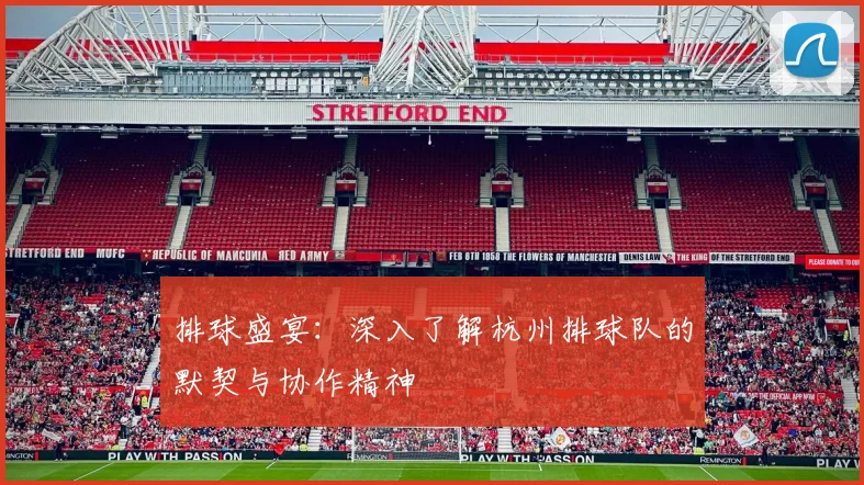 排球盛宴：深入了解杭州排球队的默契与协作精神