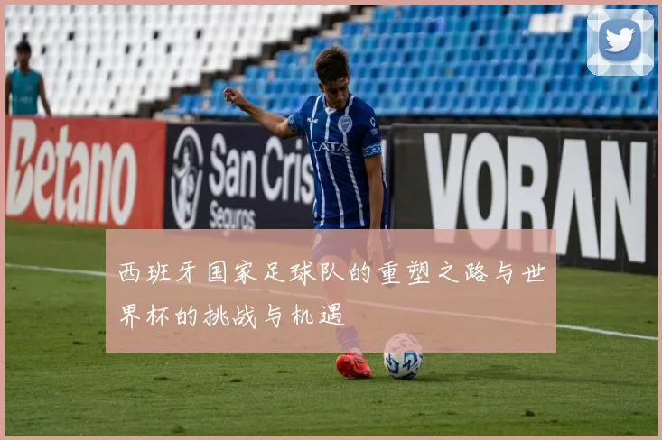西班牙国家足球队的重塑之路与世界杯的挑战与机遇