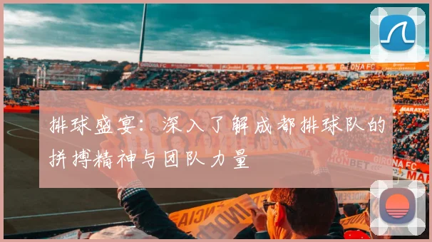 排球盛宴：深入了解成都排球队的拼搏精神与团队力量