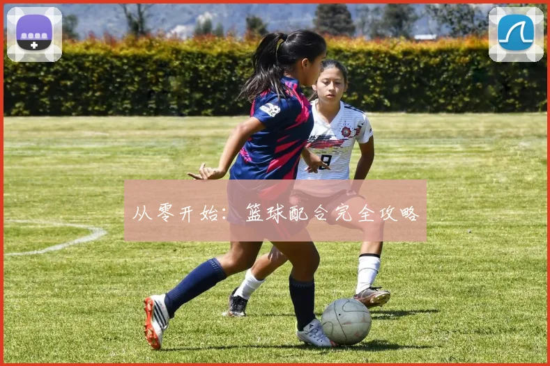 从零开始：篮球配合完全攻略