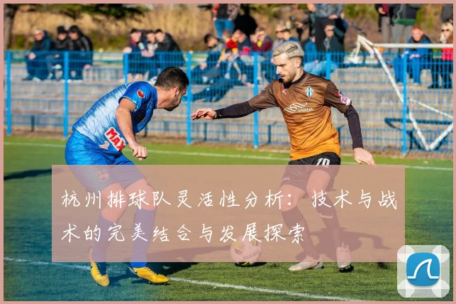 杭州排球队灵活性分析：技术与战术的完美结合与发展探索