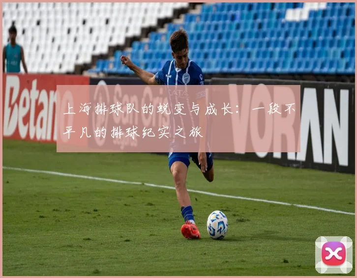 上海排球队的蜕变与成长：一段不平凡的排球纪实之旅