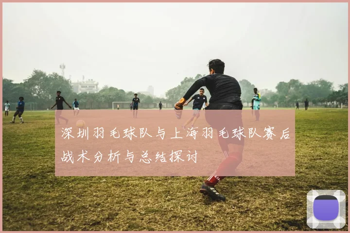 深圳羽毛球队与上海羽毛球队赛后战术分析与总结探讨
