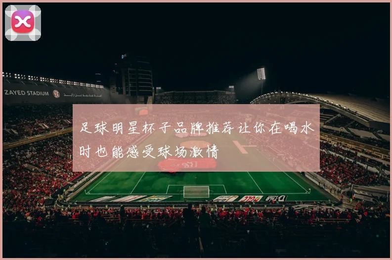 足球明星杯子品牌推荐让你在喝水时也能感受球场激情