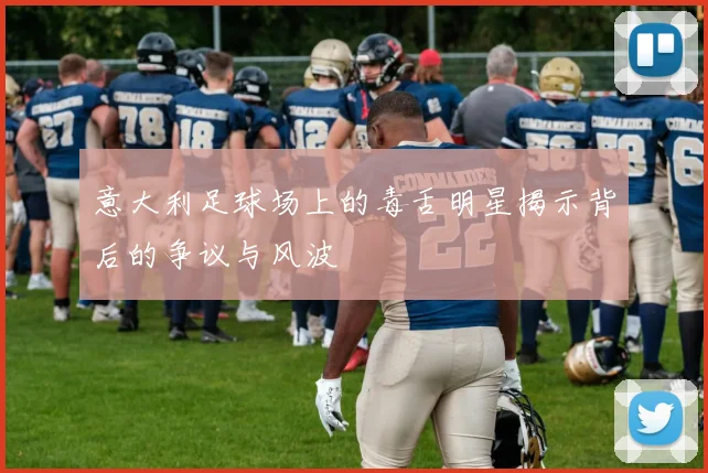 意大利足球场上的毒舌明星揭示背后的争议与风波