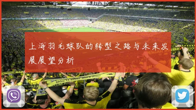 上海羽毛球队的转型之路与未来发展展望分析