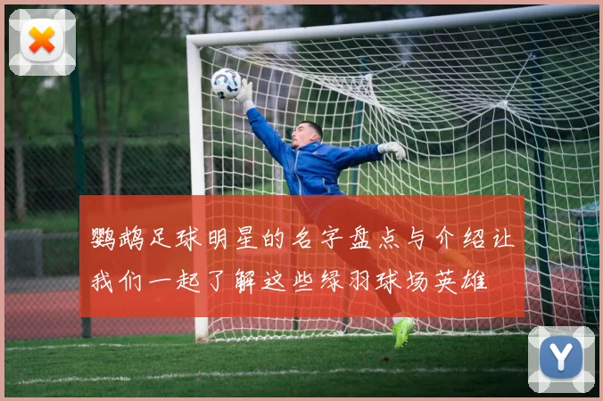鹦鹉足球明星的名字盘点与介绍让我们一起了解这些绿羽球场英雄