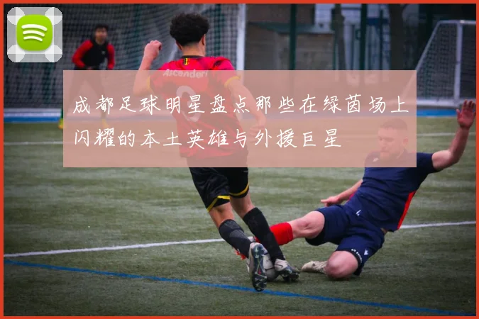 成都足球明星盘点那些在绿茵场上闪耀的本土英雄与外援巨星