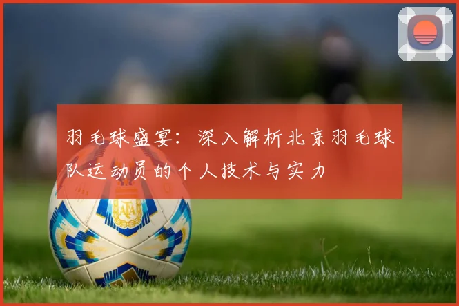 羽毛球盛宴：深入解析北京羽毛球队运动员的个人技术与实力