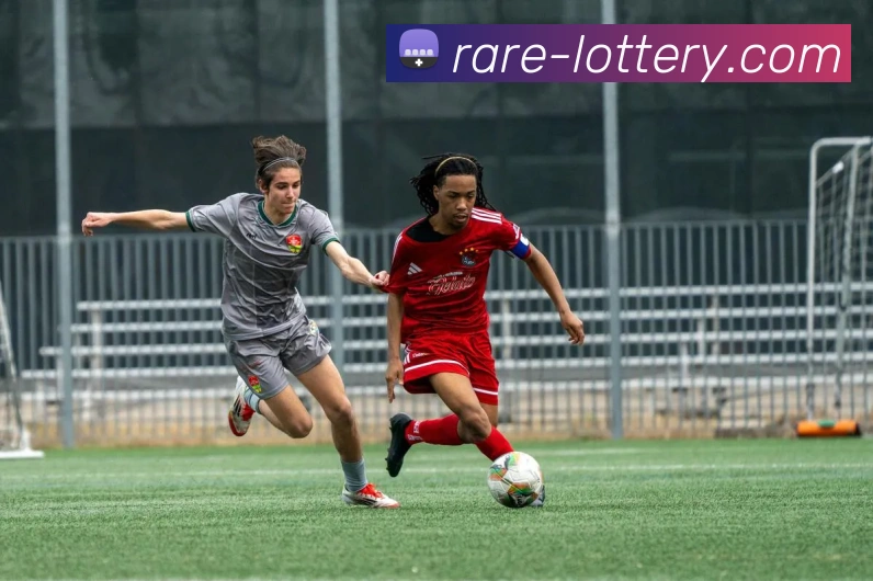 大乐透服务体系